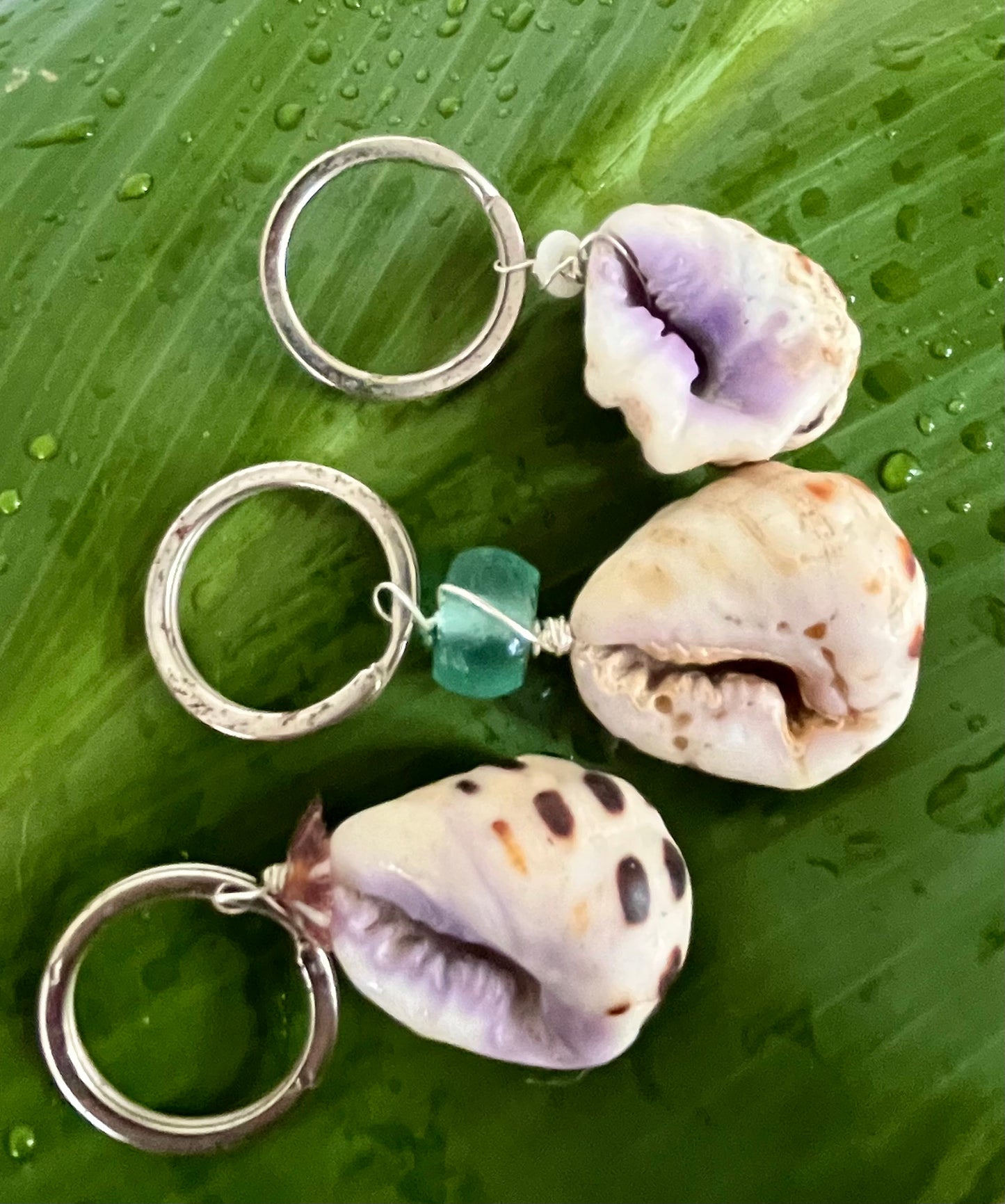 Drupe Shell Keychains