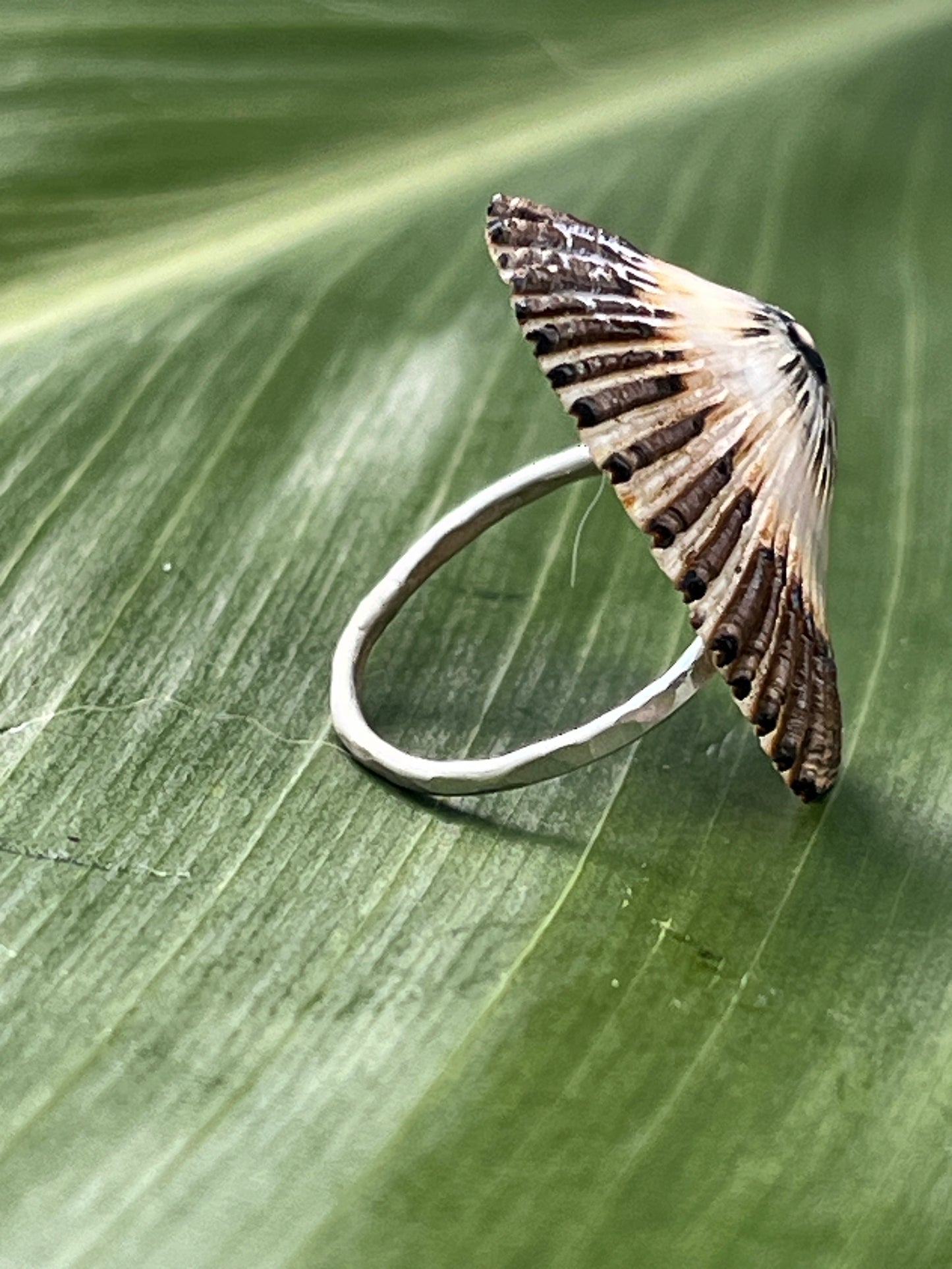OPIHI RING STERLING