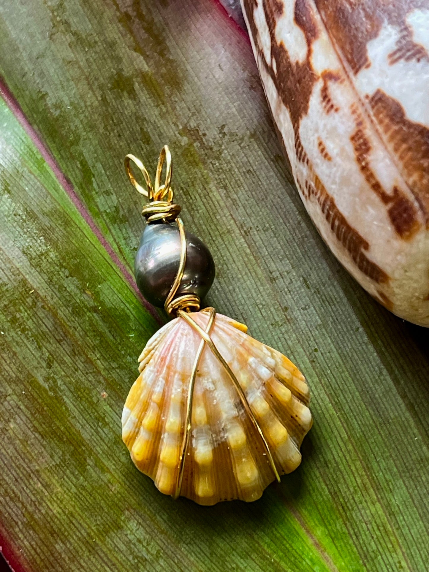 Tahitian Black Pearl Sunrise Shell Pendant