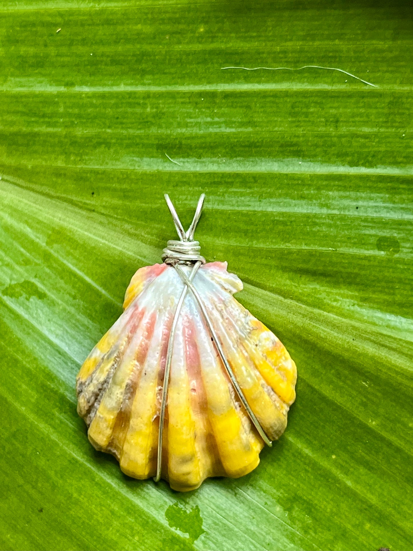 Sunrise Shell Pendant (Fits on Any Chain)