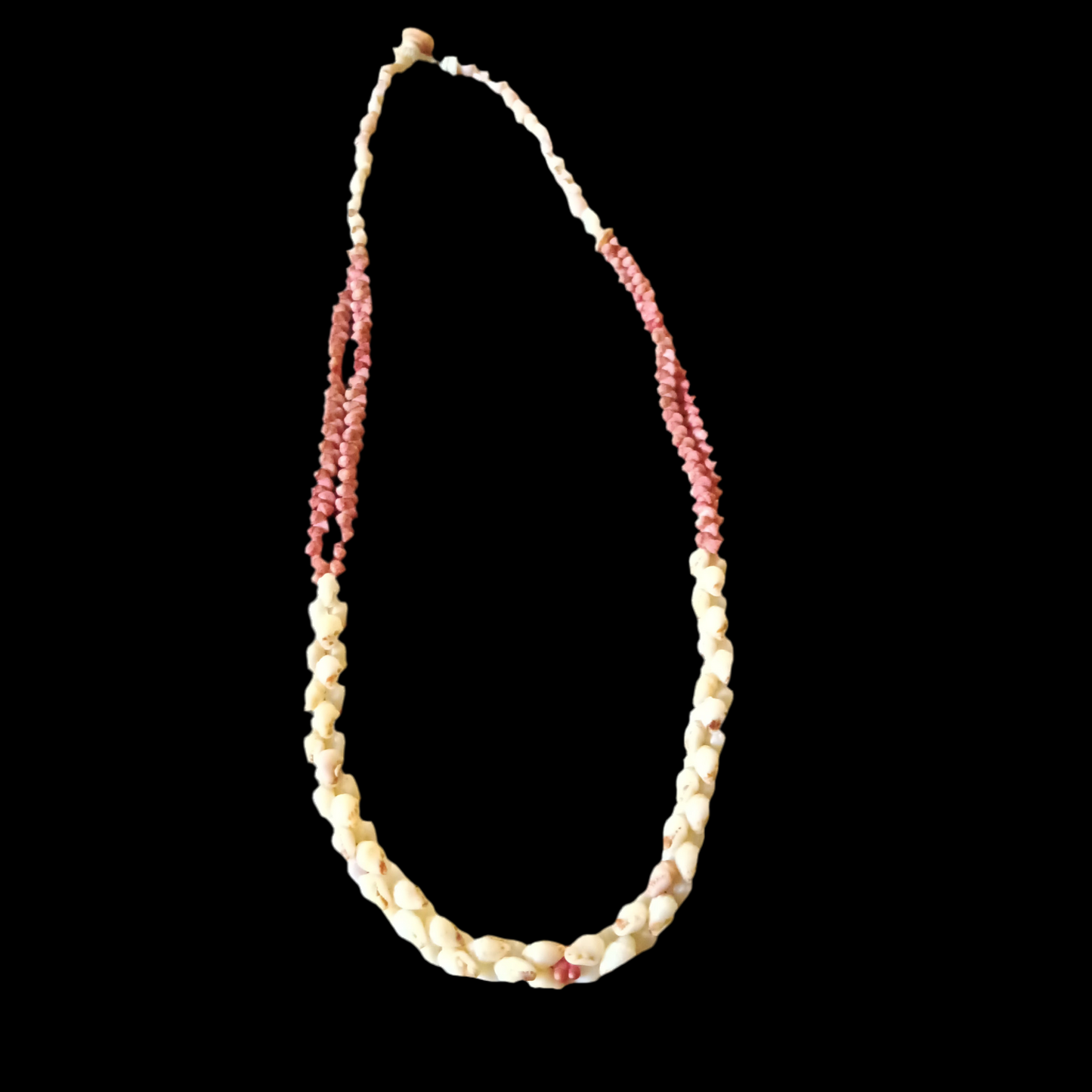 Momi & Kauai shell necklace