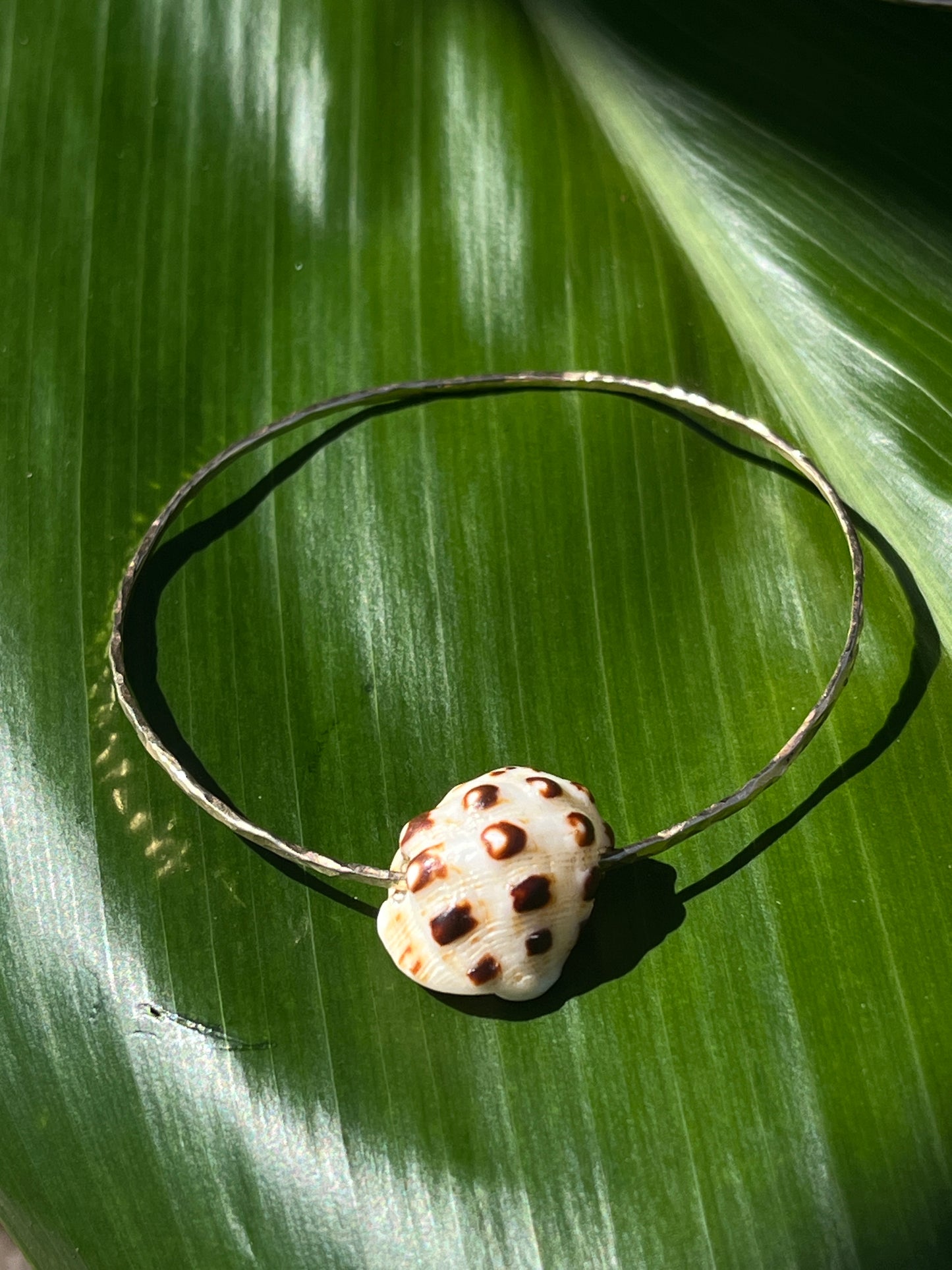 7 Size Drupe Shell Bangle GOLDFILL