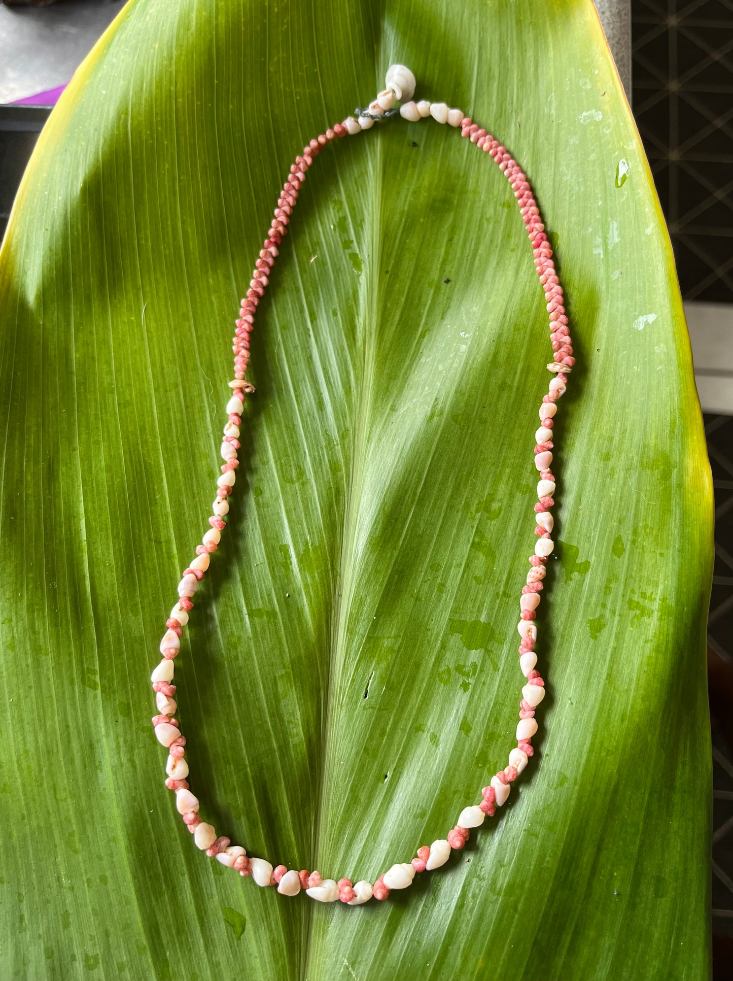 Single Strand Necklace 21Inch Momi Shell and Pink Kahelelani Shells