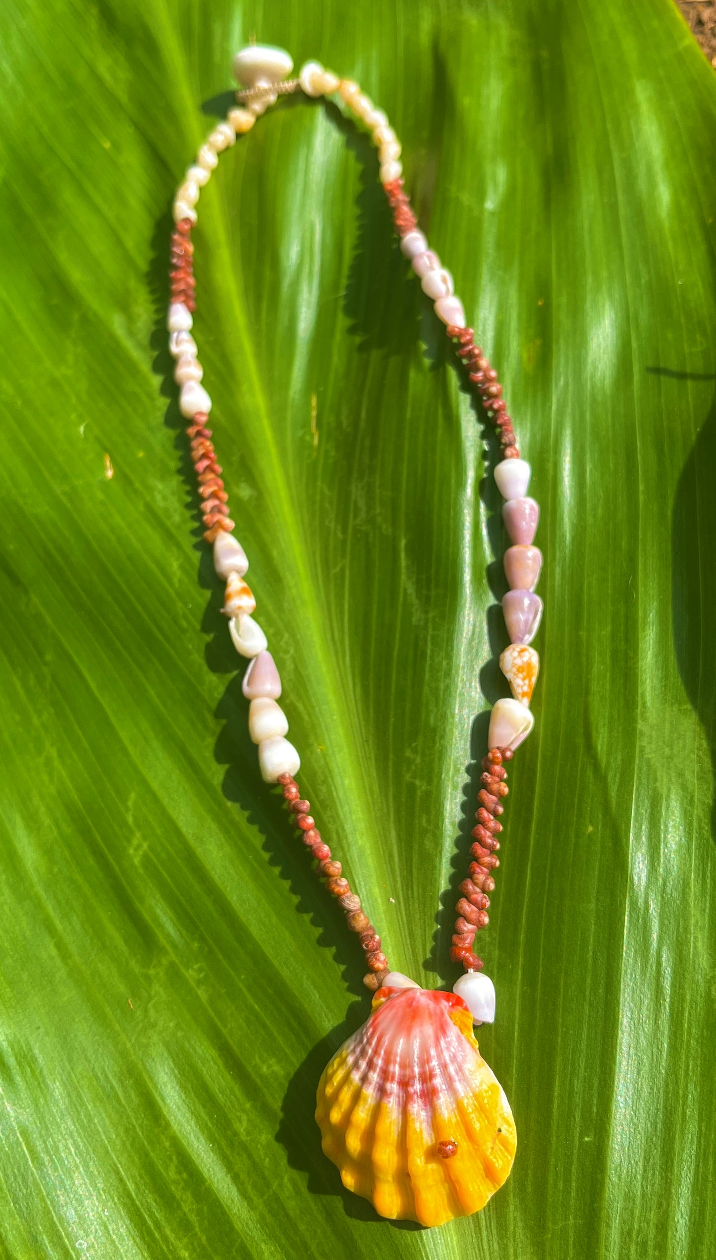 Sunrise Shell Burgundy Kahelelani Baby Cone Shells Lei