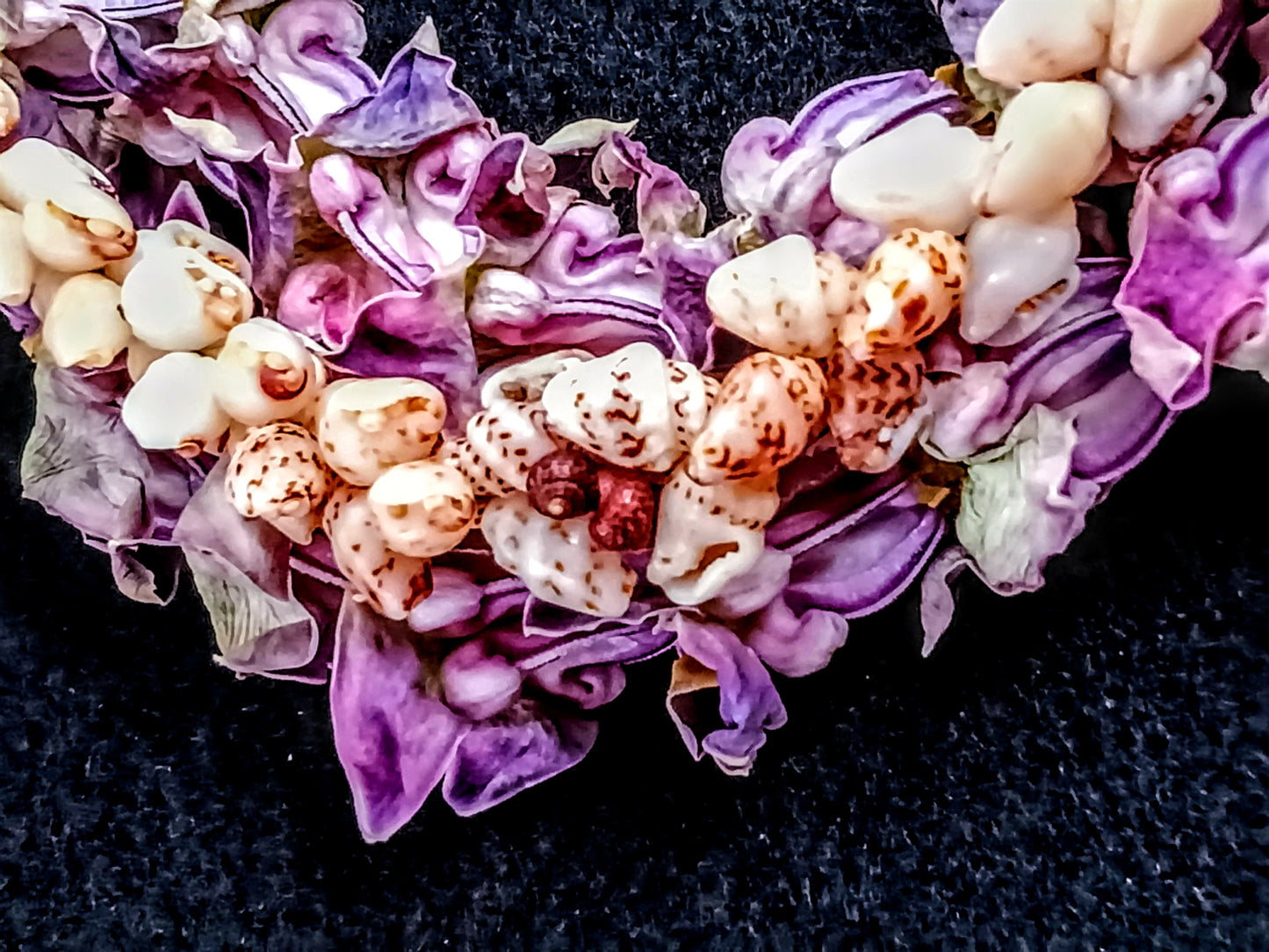 21.5 inch multi style Hawaiian shell lei