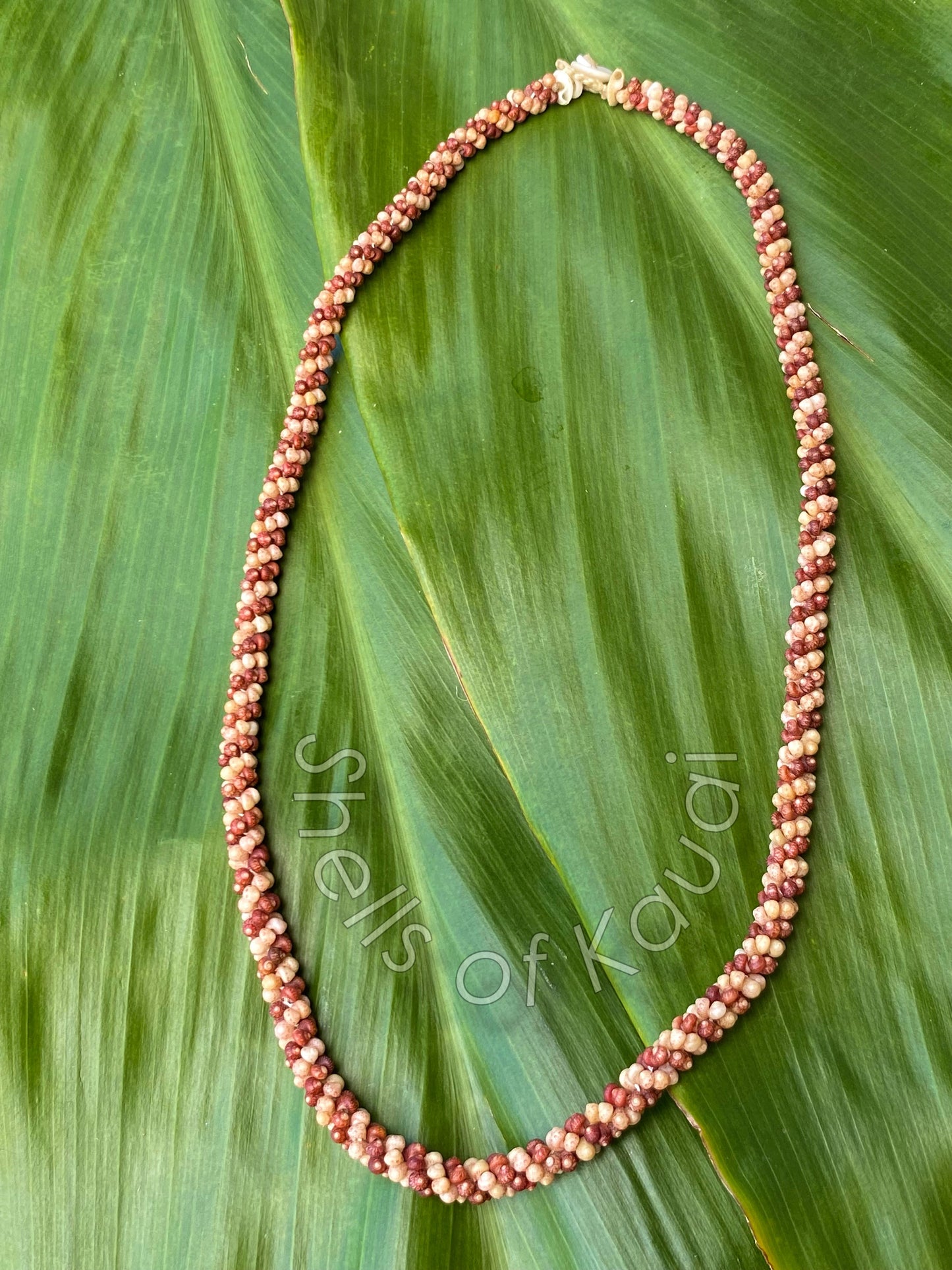 Hawaiian Kahelelani rope shell necklace