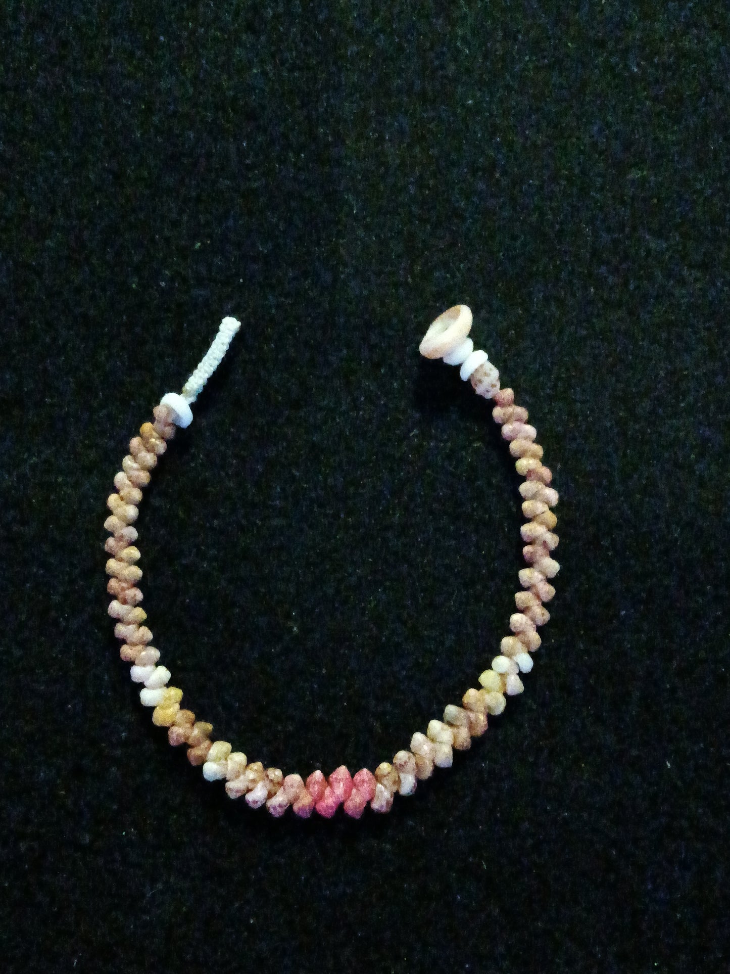 Kahelelani shell bracelet 7.25 inch