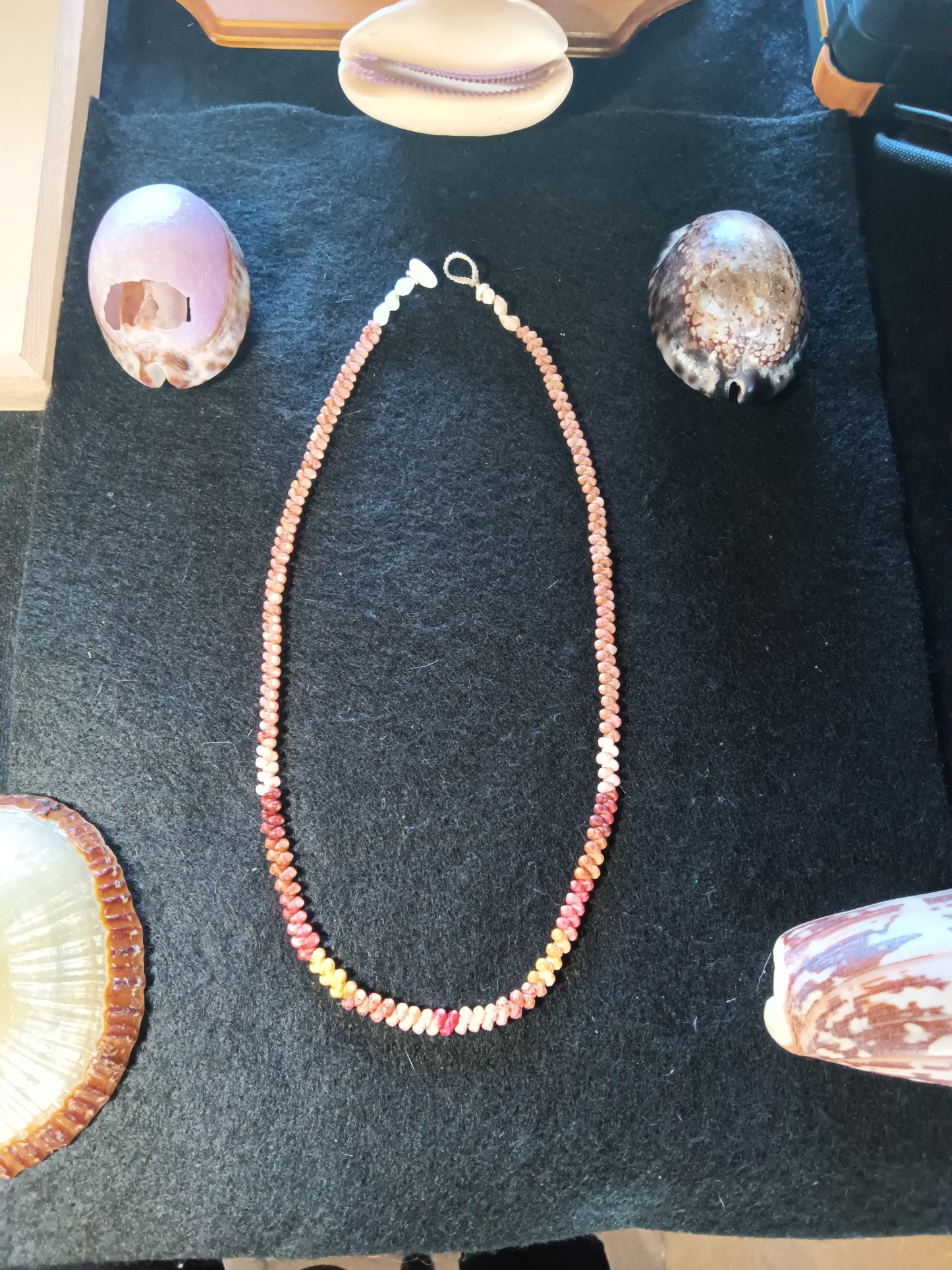 Kahelelani shell necklace 18inch