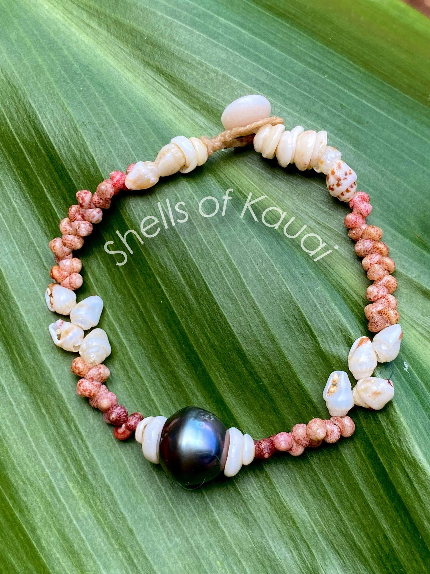 Tahitian Pearl Kahelelani and Momi Shell Bracelet