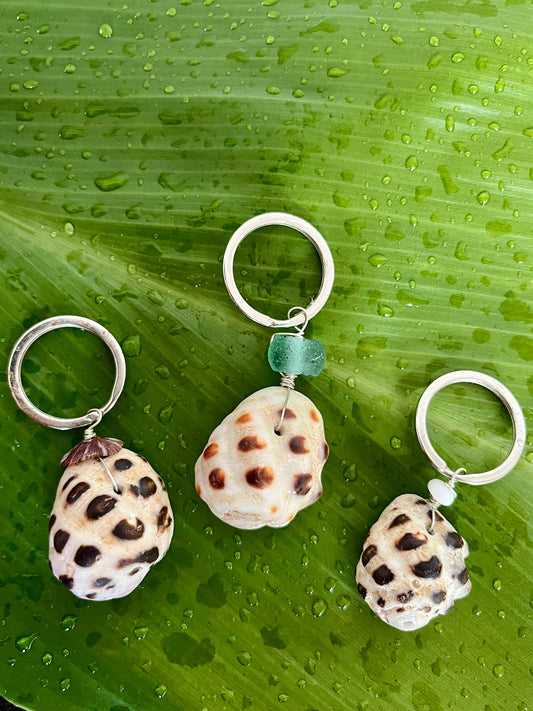 Drupe Shell Keychains