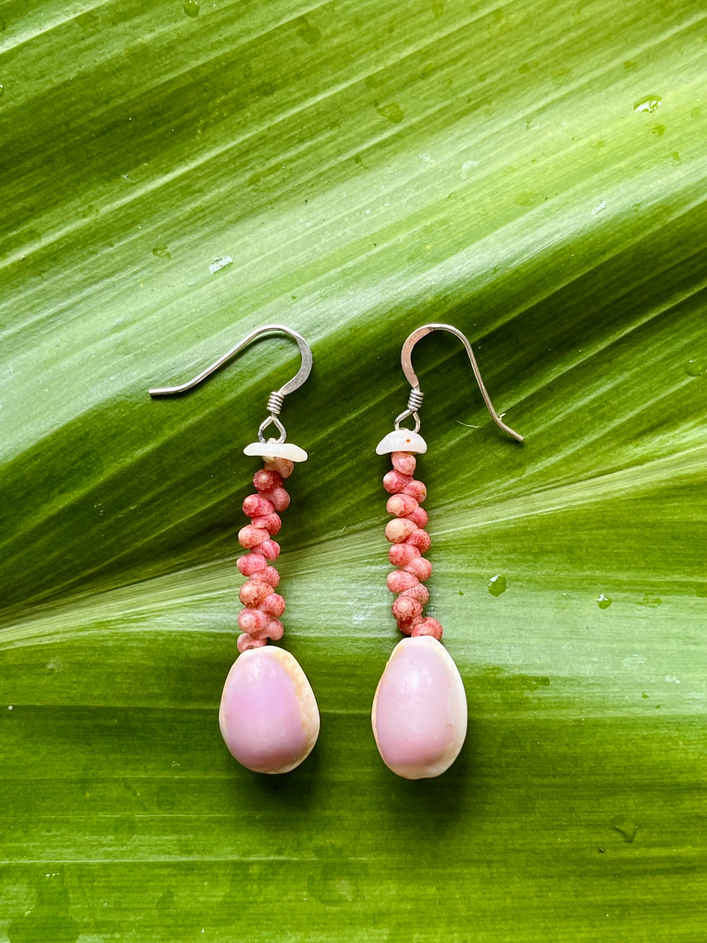 Pink Kahelelani shells • purple small cowrie shells