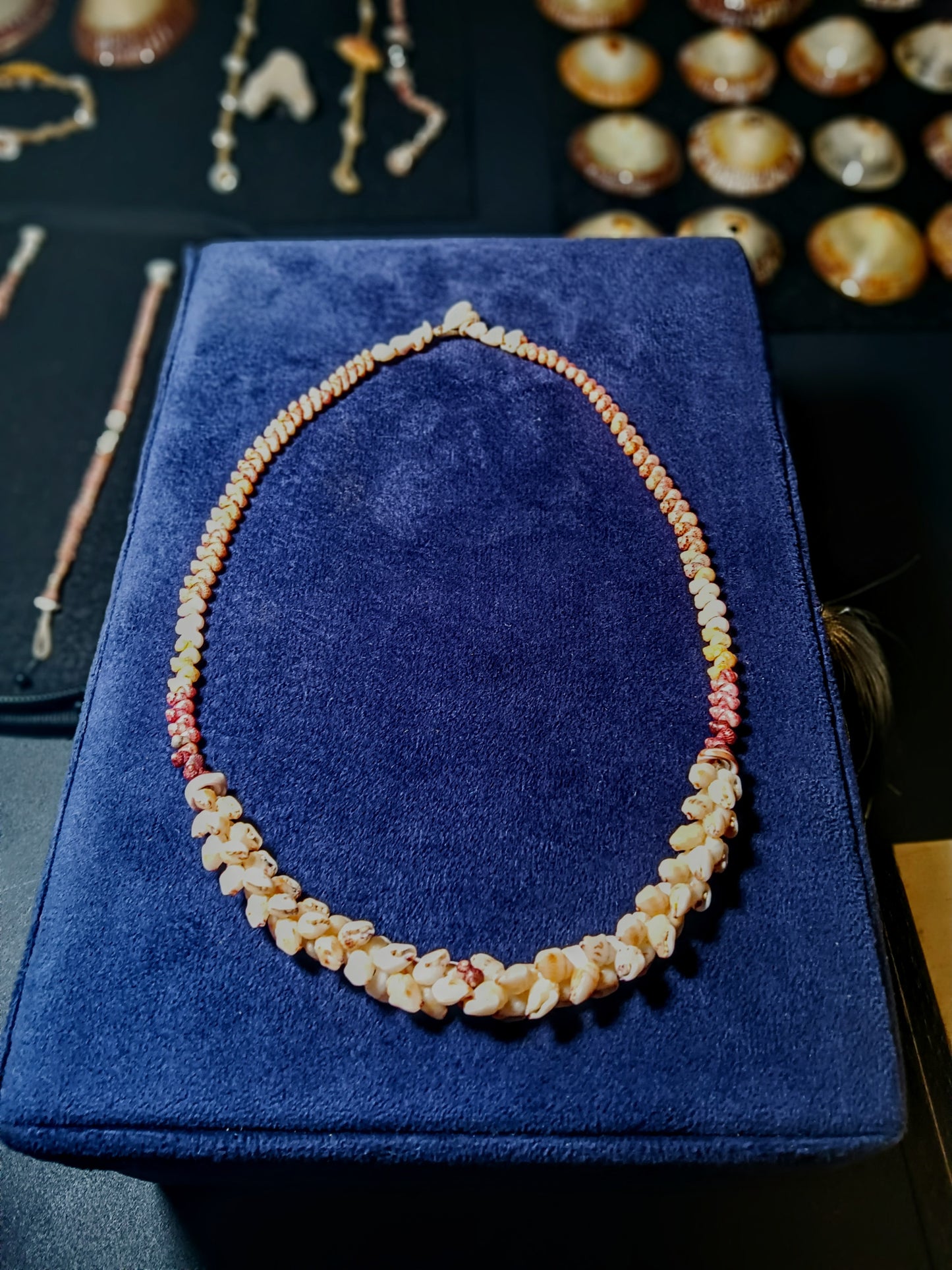 Royal Hawaiian Kauai Momi - Kahelelani Shell necklace