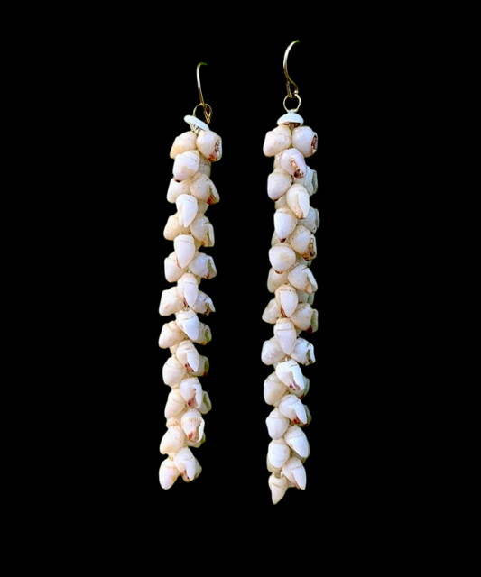 Gold-fill Momi Shells Earrings (Pikake)