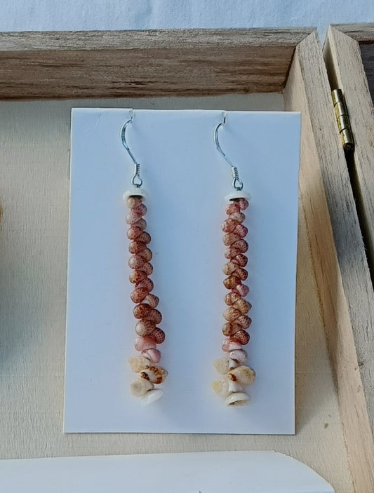 Momi/ Kahelelani shell earrings